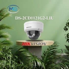 Camera IP 2MP bán cầu HIKVISION DS-2CD1121G2-LIU