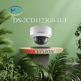 Camera quan sát ip Hikvision DS-2CD1123G0-IUF