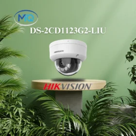 Camera quan sát Hikvision DS-2CD1123G2-LIU